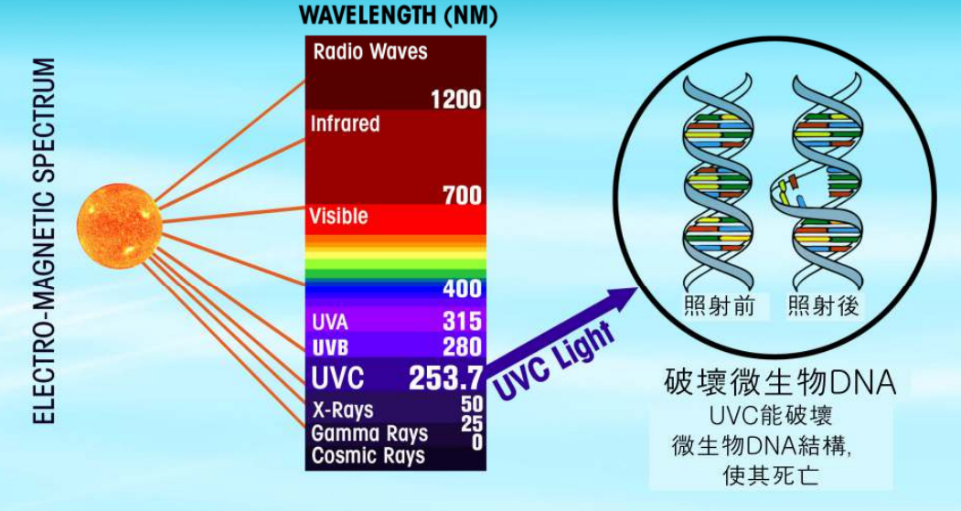 Steril-Aire UVC 的科學技術 : UVC能破壞微生物DNA結構，使其死亡